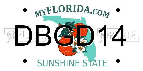 DBGD14 Florida License Plate