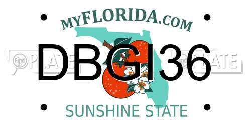 DBGI36 Florida License Plate