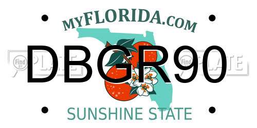DBGR90 Florida License Plate