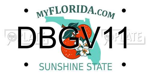 DBGV11 Florida License Plate