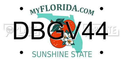 DBGV44 Florida License Plate