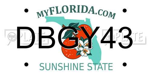 DBGY43 Florida License Plate