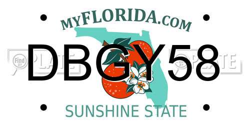 DBGY58 Florida License Plate