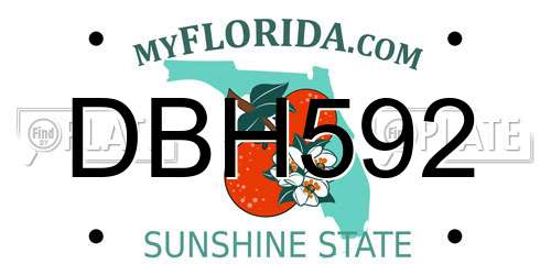 DBH592 Florida License Plate