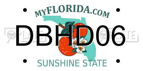 DBHD06 Florida License Plate