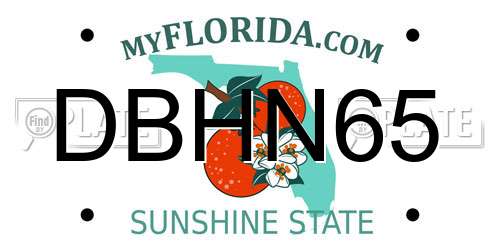 DBHN65 Florida License Plate