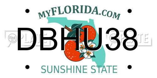 DBHU38 Florida License Plate