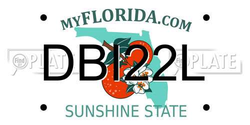 DBI22L Florida License Plate