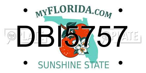 DBI5757 Florida License Plate