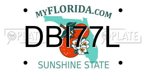 DBI77L Florida License Plate