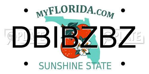 DBIBZBZ Florida License Plate