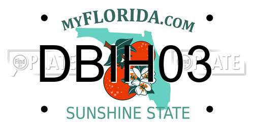 DBIH03 Florida License Plate