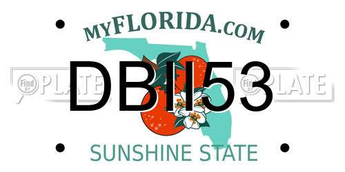 DBII53 Florida License Plate