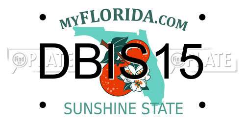 DBIS15 Florida License Plate