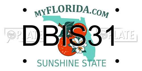 DBIS31 Florida License Plate