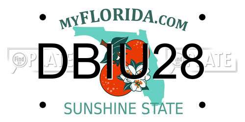 DBIU28 Florida License Plate