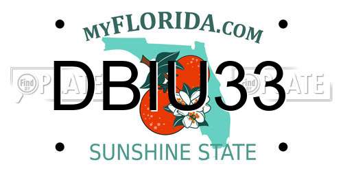 DBIU33 Florida License Plate