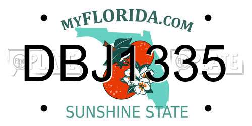 DBJ1335 Florida License Plate