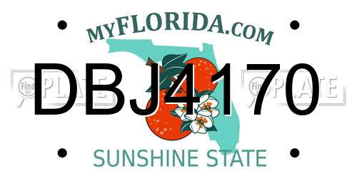 DBJ4170 Florida License Plate
