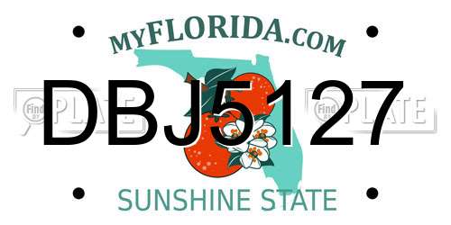 DBJ5127 Florida License Plate