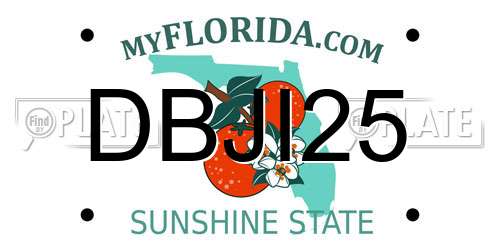 DBJI25 Florida License Plate