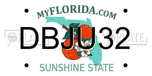 DBJU32 Florida License Plate