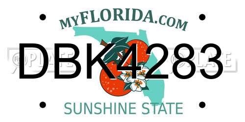 DBK4283 Florida License Plate