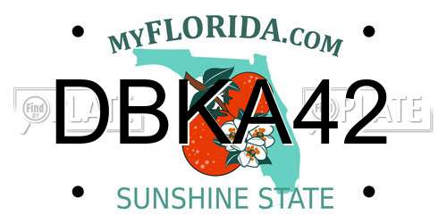 DBKA42 Florida License Plate
