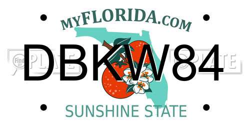 DBKW84 Florida License Plate