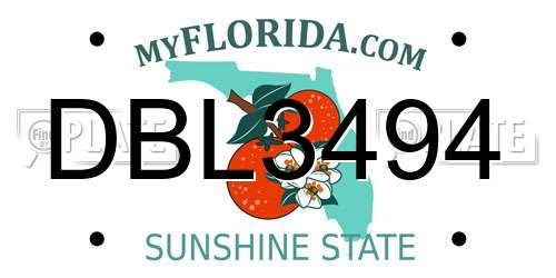 DBL3494 Florida License Plate