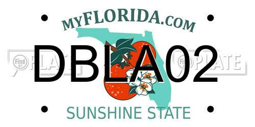 DBLA02 Florida License Plate