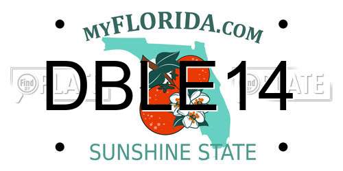 DBLE14 Florida License Plate