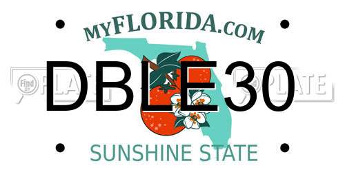 DBLE30 Florida License Plate
