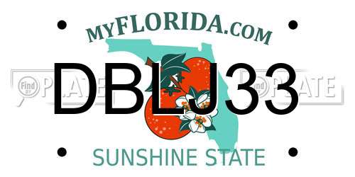 DBLJ33 Florida License Plate
