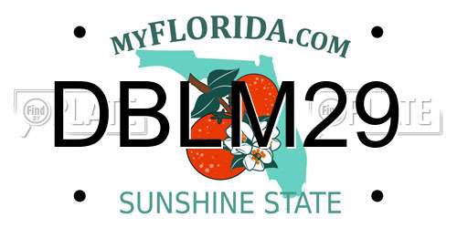 DBLM29 Florida License Plate