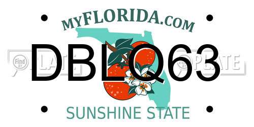 DBLQ63 Florida License Plate