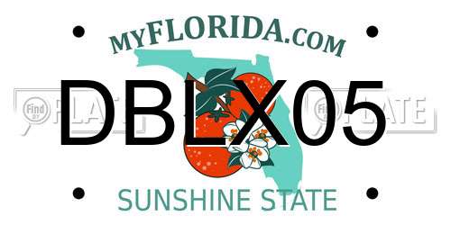 DBLX05 Florida License Plate
