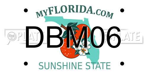 DBM06 Florida License Plate
