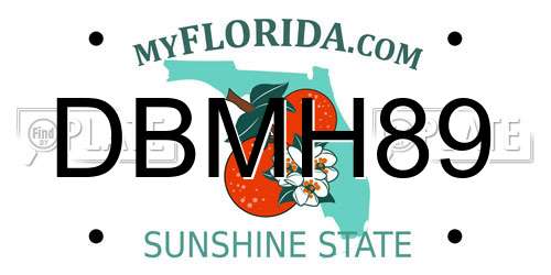 DBMH89 Florida License Plate