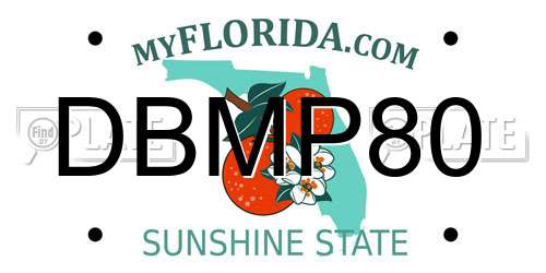 DBMP80 Florida License Plate