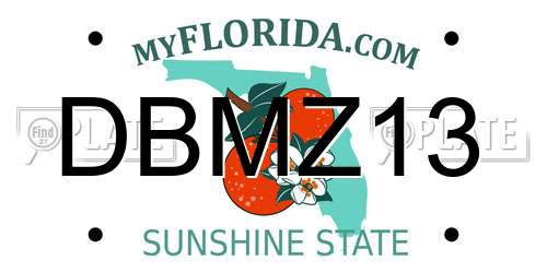 DBMZ13 Florida License Plate