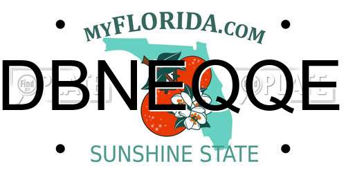 DBNEQQE Florida License Plate