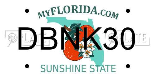 DBNK30 Florida License Plate