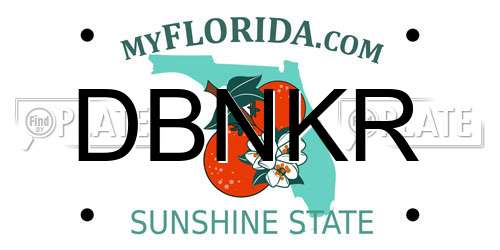 DBNKR Florida License Plate