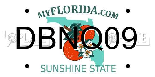 DBNQ09 Florida License Plate