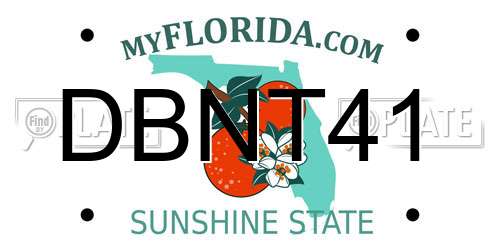 DBNT41 Florida License Plate