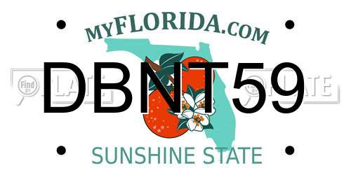 DBNT59 Florida License Plate