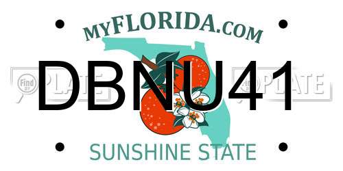 DBNU41 Florida License Plate