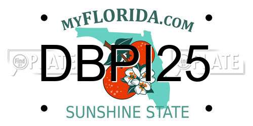 DBPI25 Florida License Plate