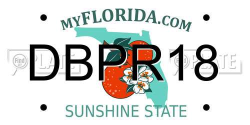 DBPR18 Florida License Plate